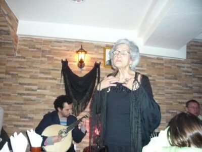 Lisbon Dinner with Fado Show and Sights by Night - Getting There: Pickup, Small Van Size, and How to Stay on Schedule