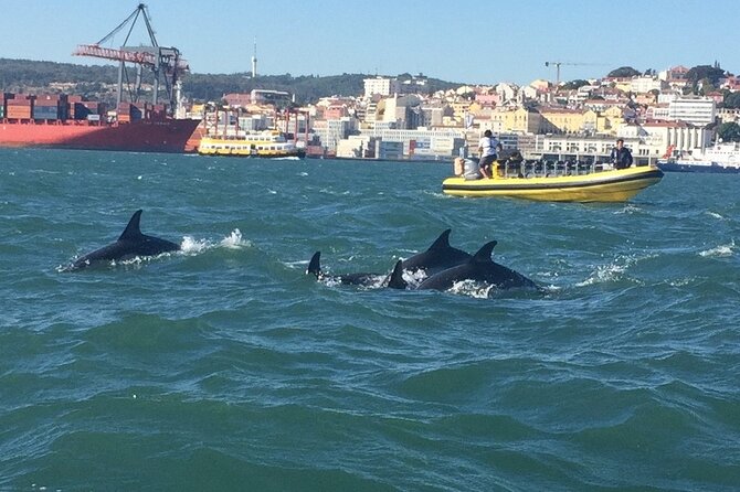 Lisbon Dolphin Watching Ocean Safari - Stop 2: Padrao dos Descobrimentos and the Lisbon coast angle