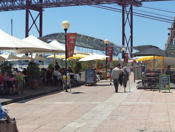 Lisbon: Dolphin Watching with a Marine Biologist - Ocean Safari - Key Points That Matter for Your Day on the Water