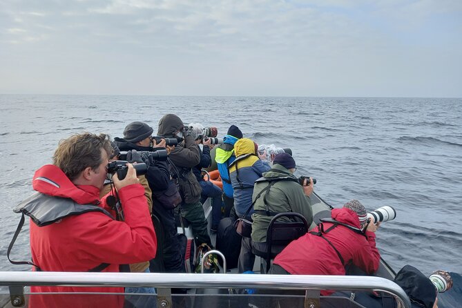 Lisbon: Dolphin Watching with a Marine Biologist - Ocean Safari - Stop for Farol do Bugio: A Lighthouse You’re Actually Sailing Toward