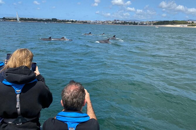 Lisbon: Dolphin Watching with Marine Biologist - Small Group - Tagus River Dolphin Watching: What Makes This Lisbon Trip Different
