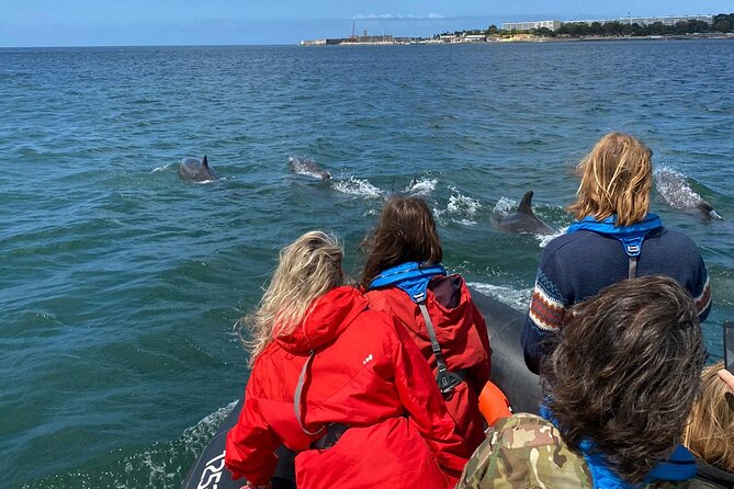 Lisbon: Dolphin Watching with Marine Biologist - Small Group - Fort of São Lourenço do Bugio: The Photo Stop With Purpose