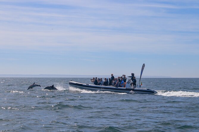 Lisbon: Dolphin Watching with Marine Biologist - Small Group - The Cascais Photo Stop: Coastal Views on the Way Back