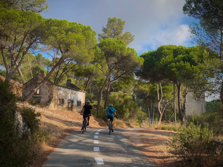 Lisbon: E-bike Trip from the Sintra Mountains to Cascais Sea - Sintra Forest riding: sheep, horses, gardens, and cool-water stops