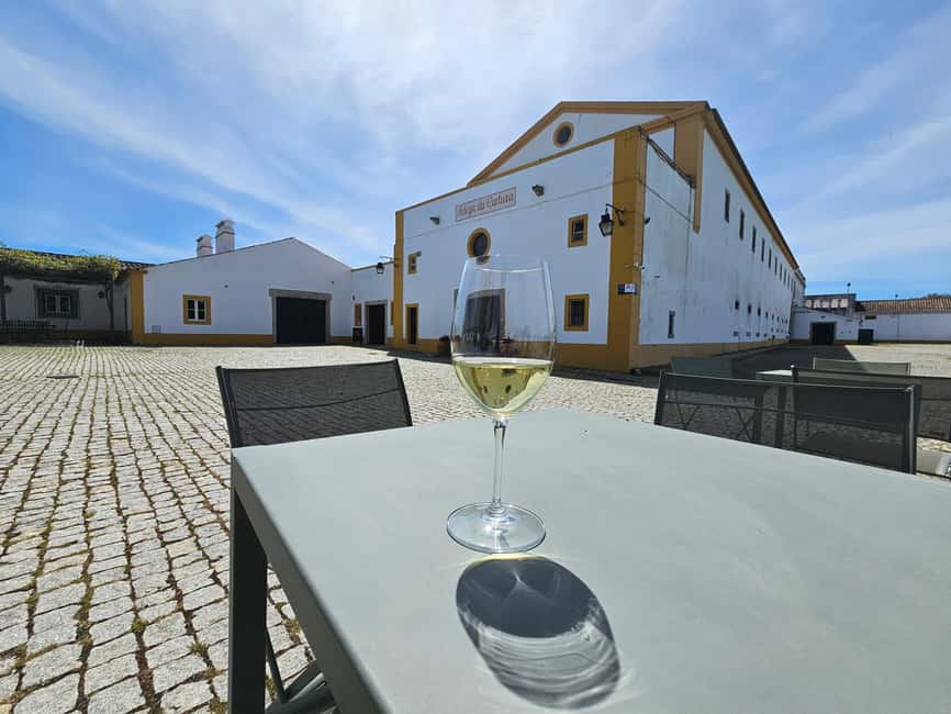 Lisbon: Évora (w/ Cathedral & Bones), Cartuxa & Cork Factory - Cartuxa Vineyard Stop: Iconic Wine Brand, But Not a Wine-Forced Tour