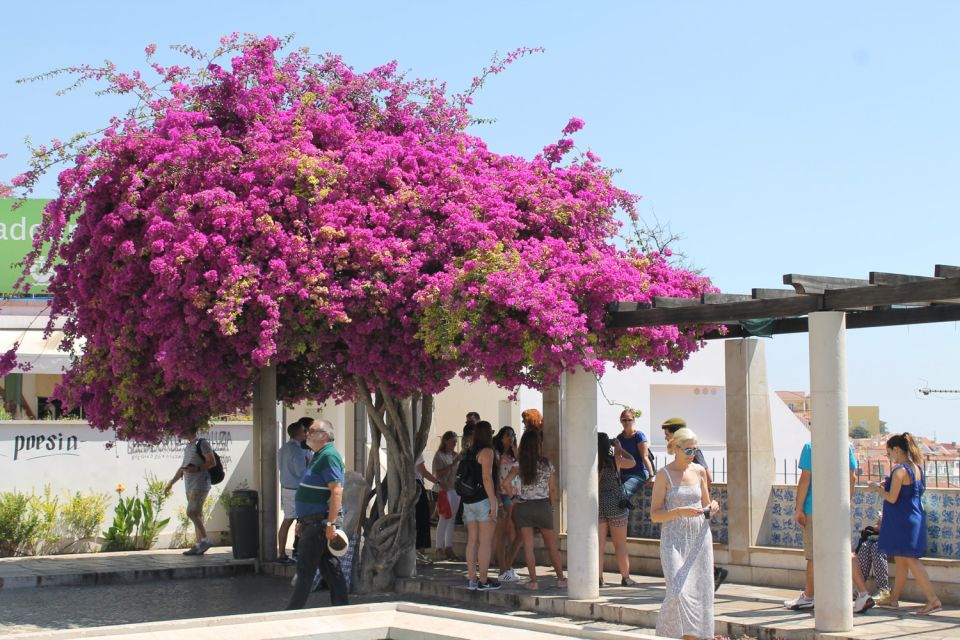 Lisbon: Full-Day Private Walking Sightseeing Tour - Key highlights worth planning around