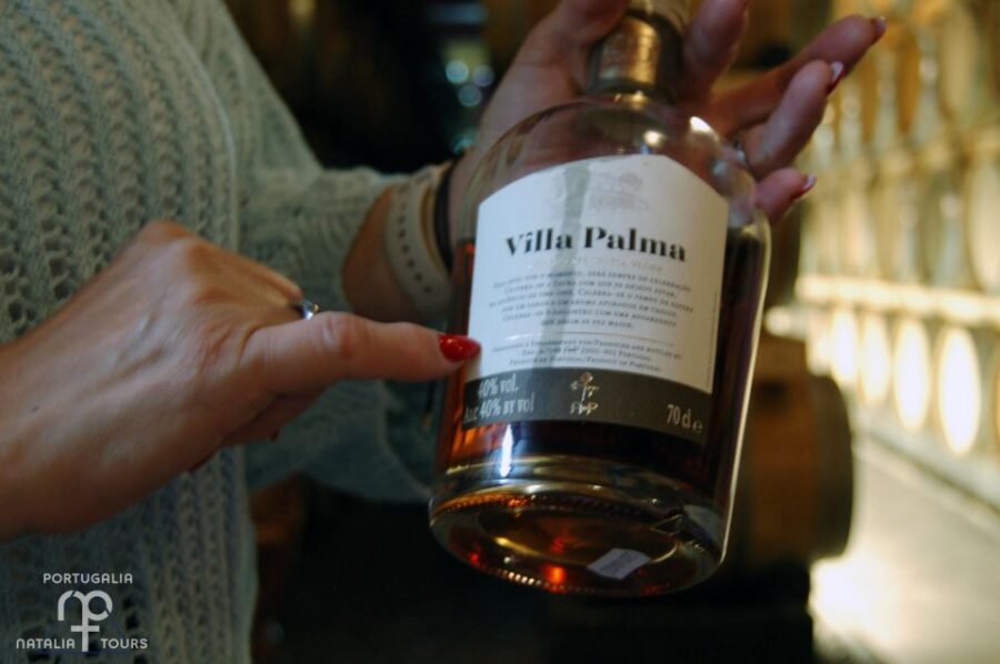 Lisbon Getaway: Private Arrábida Wine & Food Tour - Tour logistics that affect your comfort (and your photos)