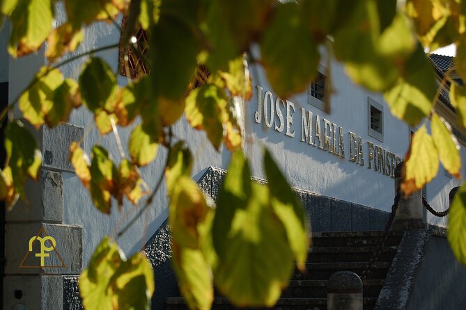 Lisbon Getaway: Private Arrábida Wine & Food Tour - Setúbal and Arrábida in one day: what you’re really signing up for
