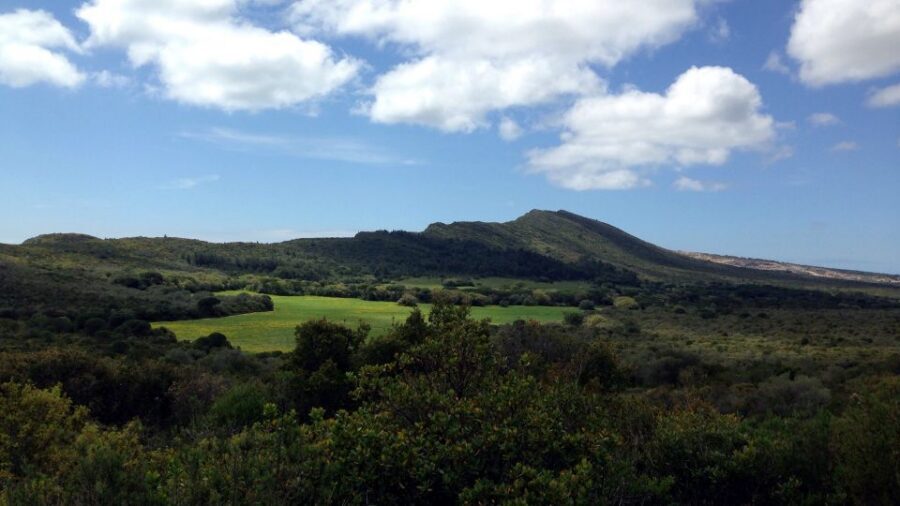 Lisbon: Hiking in Arrábida Natural Park - Guides who turn plants, rocks, and history into real conversation