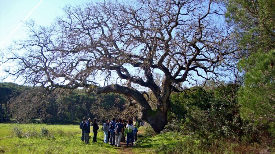 Lisbon: Hiking in Arrábida Natural Park - History you can spot on the trail (not just read about later)