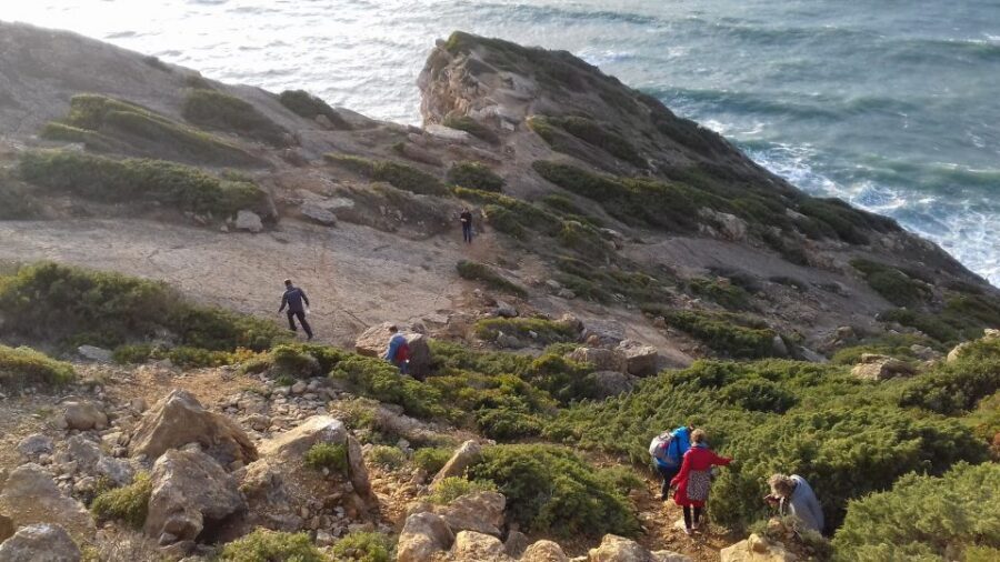 Lisbon: Hiking in Arrábida Natural Park - Timing and Lisbon logistics: 3–7 hours that fit real plans