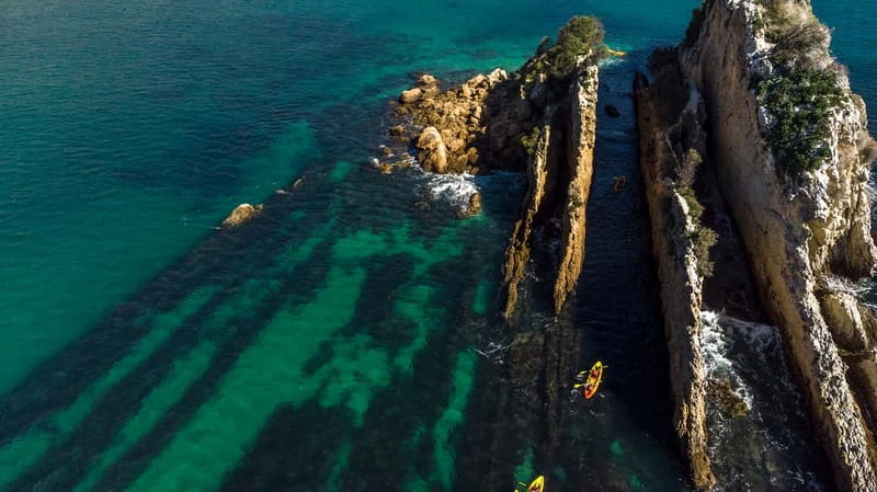 Lisbon: Kayak Tour Arrábida Natural Park, Setubal, Sesimbra - Anicha Island: Marine Life Up Close (Not Just a Scenic Stop)
