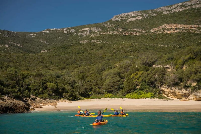 Lisbon: Kayak Tour Arrábida Natural Park, Setubal, Sesimbra - How Hard Is It, Really? (And Who This Fits Best)