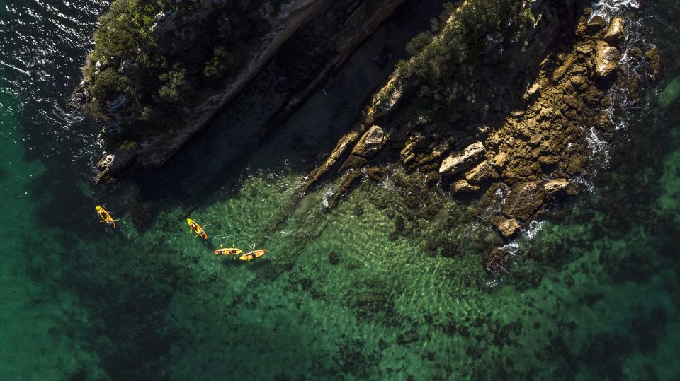 Lisbon: Kayak Tour Arrábida Natural Park, Setubal, Sesimbra - Price and Value: What $47 Really Buys You