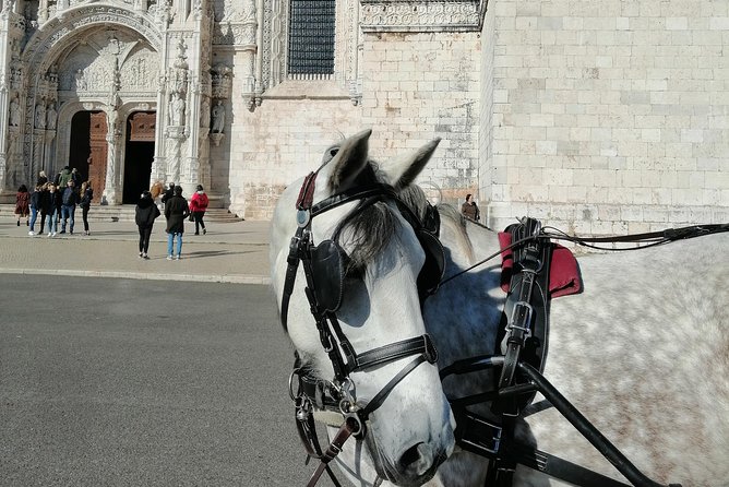Lisbon Layover - Price and Value for a 4-Hour Private Tour