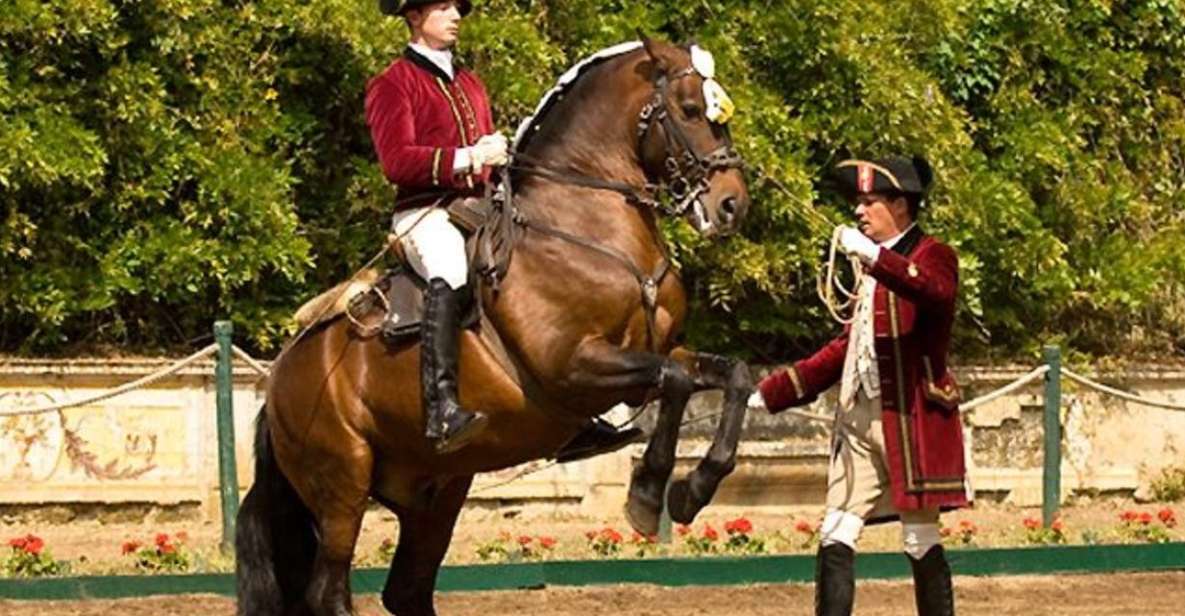 Lisbon: Morning of Equestrian Art with Lusitano Horses - Key things I’d bet you’ll notice