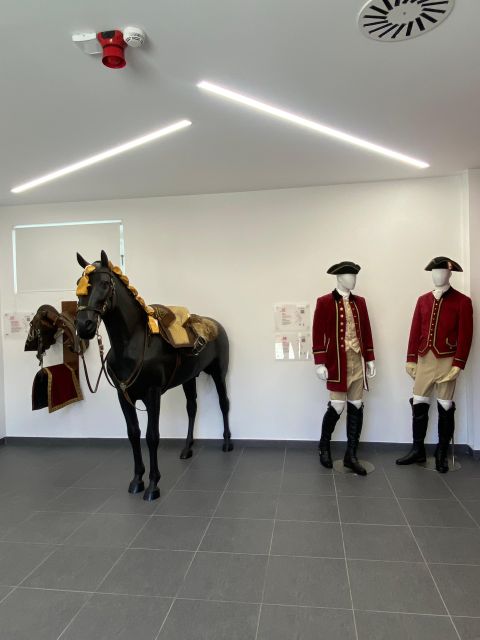 Lisbon: Morning of Equestrian Art with Lusitano Horses - Who should book this and who might skip