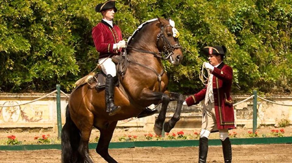 Lisbon: Morning of Equestrian Art with Lusitano Horses - Nora Patio vs Henrique Calado Riding Ring: your photo plan