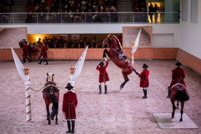 Lisbon: Morning of Equestrian Art with Lusitano Horses - The morning window that actually matters: 11am to 1pm