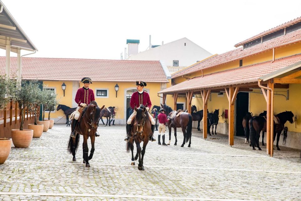 Lisbon: Morning of Equestrian Art with Lusitano Horses - What you’ll see: warm-ups, resourcefulness, and rider work