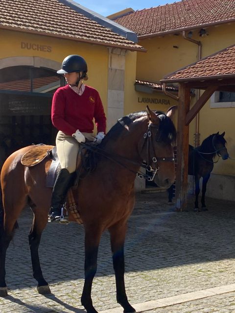 Lisbon: Morning of Equestrian Art with Lusitano Horses - Behind the curtain: handlers care for the horses