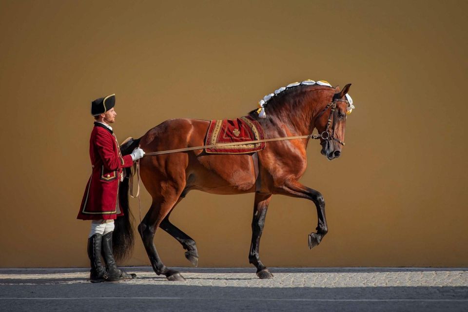 Lisbon: Morning of Equestrian Art with Lusitano Horses - Price and value: why about $17 can make sense