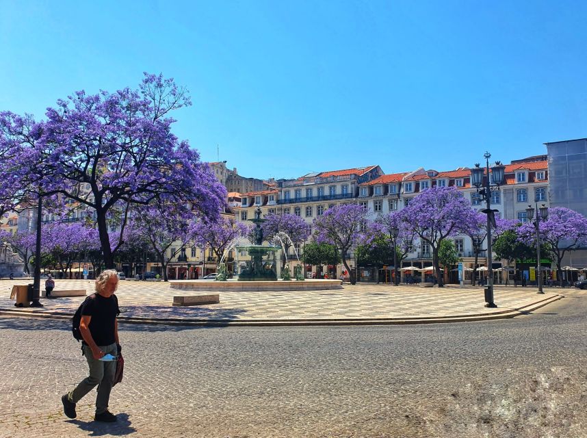 Lisbon: Old Town TukTuk Tour and Scenic Viewpoints in Alfama - Graça and the hilltop viewpoint circuit