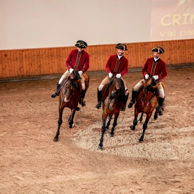 Lisbon: Portuguese Riding School Trainig with Lusitano Horse - Key things you’ll notice right away