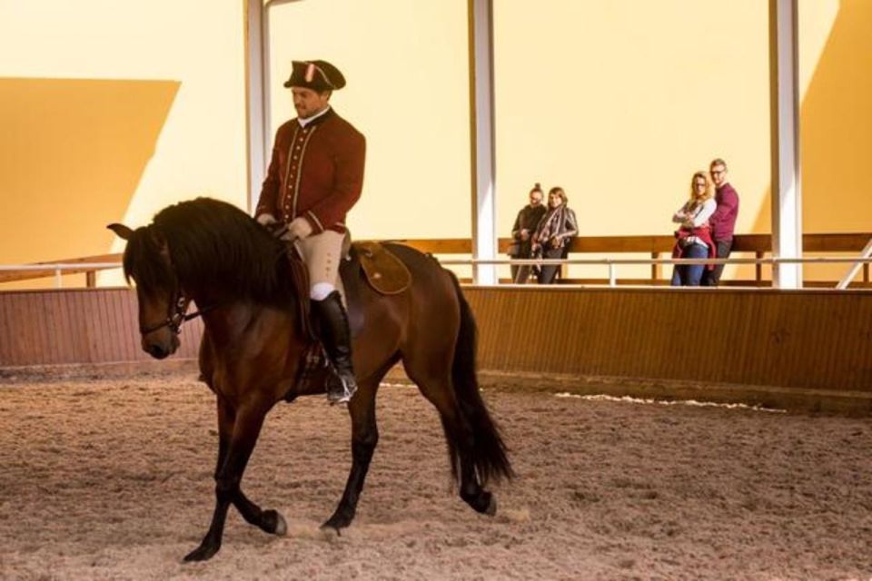 Lisbon: Portuguese Riding School Trainig with Lusitano Horse - Simple etiquette: rules that keep the experience smooth