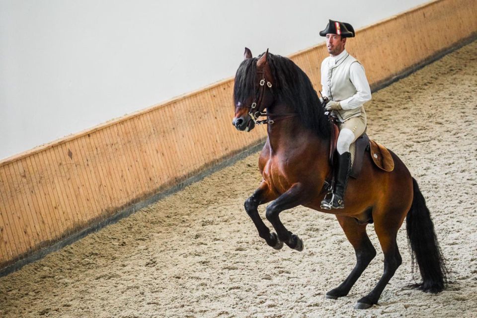Lisbon: Portuguese Riding School Trainig with Lusitano Horse - Portuguese Riding School Training: what you’re actually seeing in Lisbon