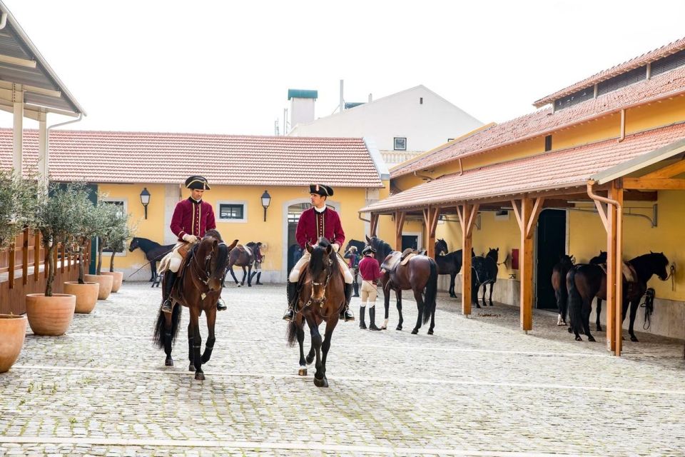 Lisbon: Portuguese Riding School Trainig with Lusitano Horse - Henrique Calado Riding Ring: warm-ups, handlers, and the daily grind