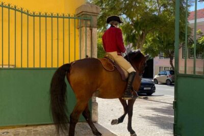 Lisbon: Portuguese Riding School Trainig with Lusitano Horse - Entering the court mood at Nora Patio