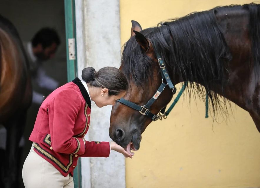 Lisbon: Portuguese Riding School Trainig with Lusitano Horse - The Equestrian Art rehearsals: complex exercises with real training logic