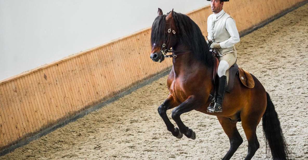 Lisbon: Portuguese Riding School Trainig with Lusitano Horse - Audio guide in three languages: how to make it actually useful