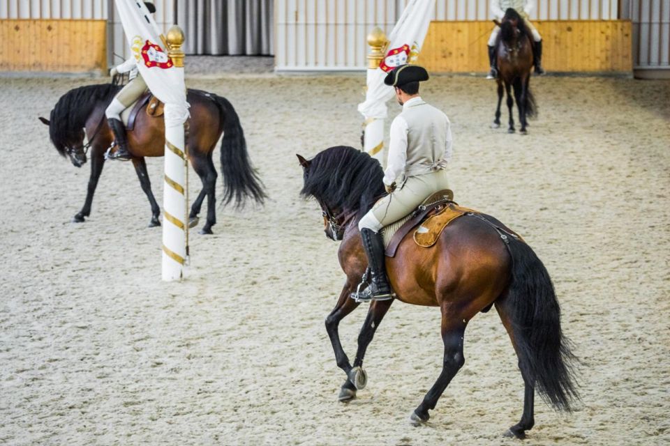 Lisbon: Portuguese Riding School Trainig with Lusitano Horse - Practical value: is $17 in Lisbon a fair deal?