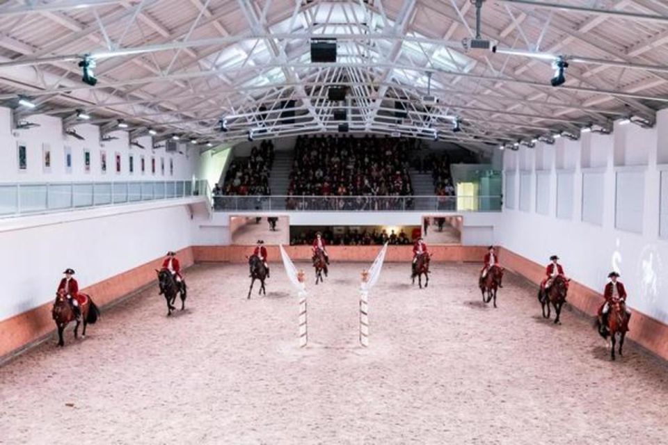 Lisbon: Portuguese Riding School Trainig with Lusitano Horse - What’s included vs. what you’ll need to plan for