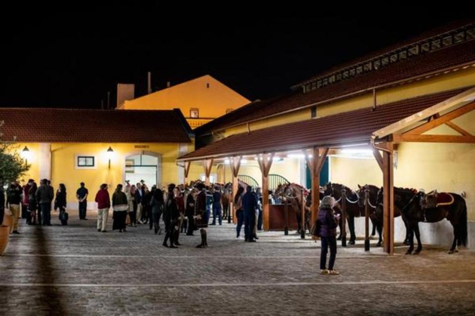 Lisbon: Portuguese Riding School Trainig with Lusitano Horse - When to go, how long to plan, and where you’ll be