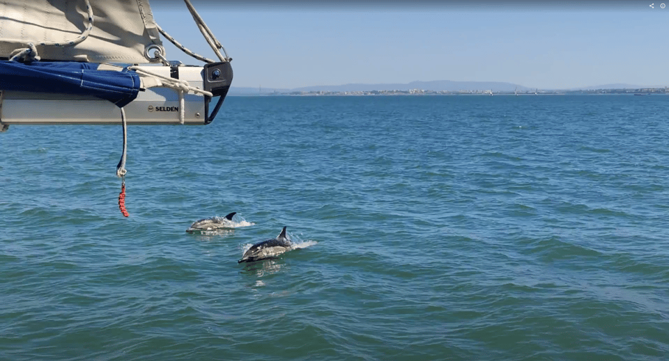 Lisbon: Private Boutique Boat Tour – Sail in Style - Onboard setup: safety, comfort, and the little perks