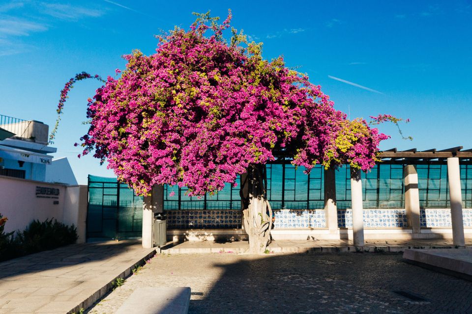 Lisbon: Private Evening Tour with Drinks & Bites in Alfama - Meeting at Farmácia da Mouraria: show up ready to walk