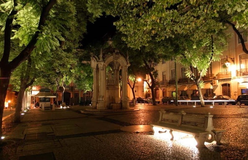 Lisbon: Private Night Tour with Fado Dinner Show - Who this tour suits best (and who should choose something else)