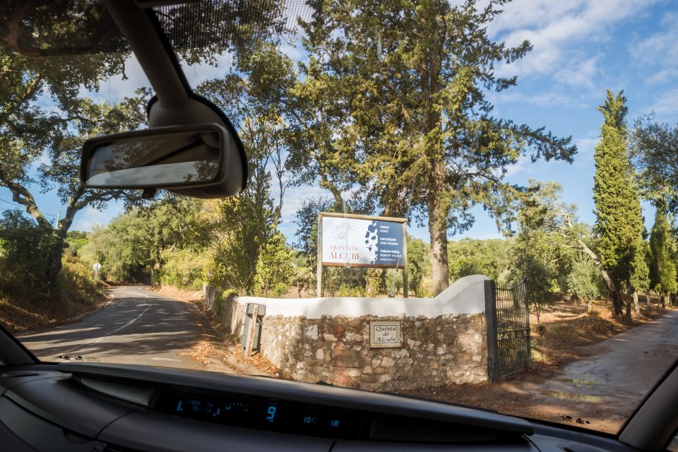 Lisbon Private Setúbal Region Wine Tasting Tour - Quick Hits You’ll Care About