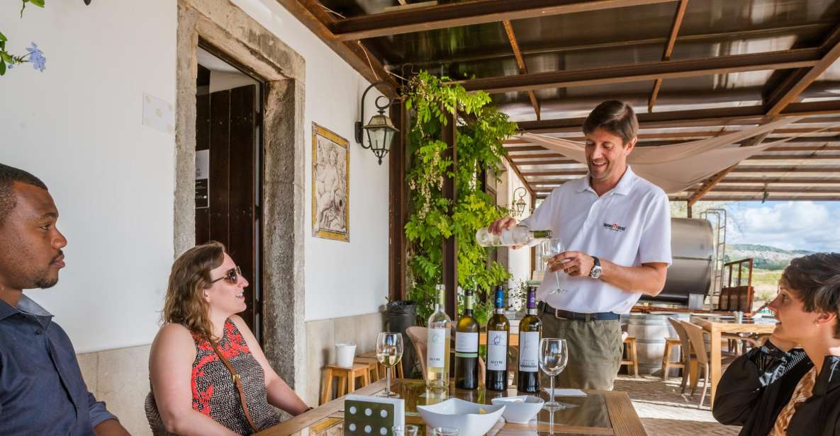 Lisbon Private Setúbal Region Wine Tasting Tour - Why Setúbal Is the Perfect Day Trip From Lisbon