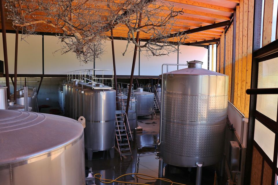 Lisbon Private Setúbal Region Wine Tasting Tour - Azeitão, Palmela, and the Wine-How-Lives-Here Feeling