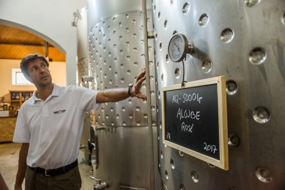 Lisbon Private Setúbal Region Wine Tasting Tour - Arrábida Natural Park Views: Photos Are Easy, but the Context Matters
