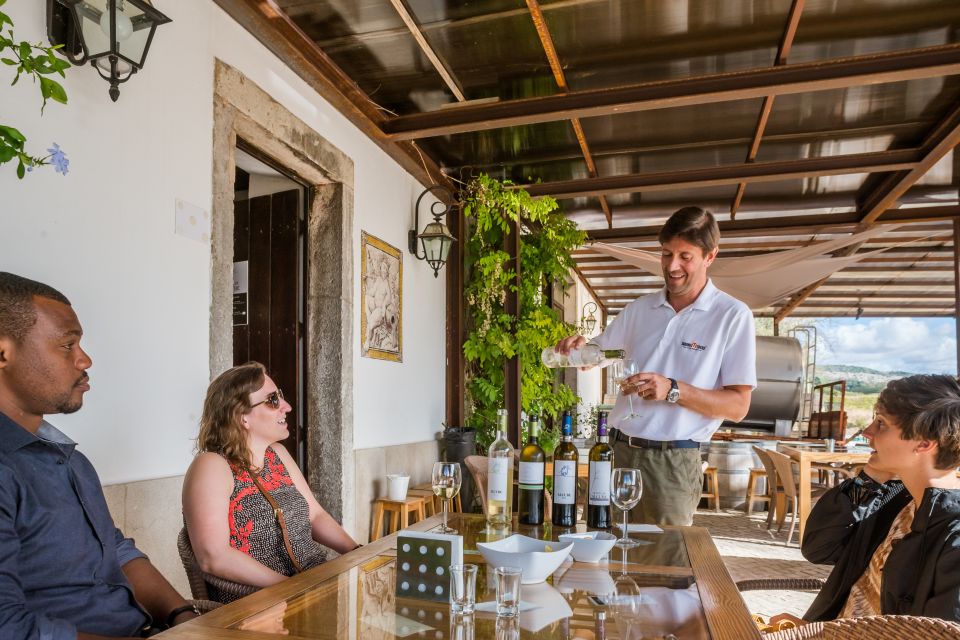 Lisbon Private Setúbal Region Wine Tasting Tour - Two Different Tour Formats: Pick Your Pace and Your Food