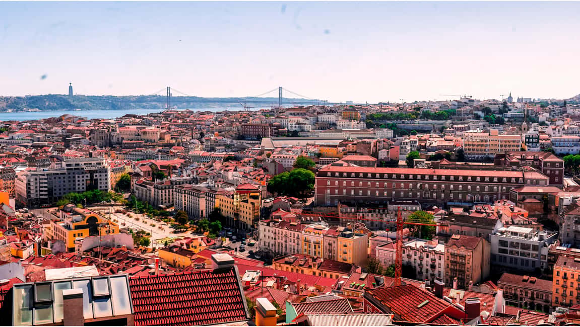 Lisbon: Private Tuk-Tuk Tour of Old Town & Scenic Viewpoints - Price and value: what $31 per person buys you