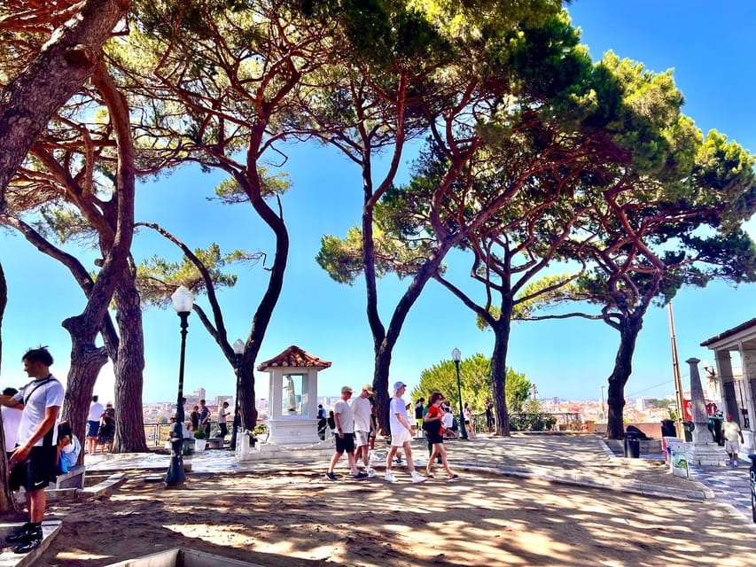 Lisbon: Private Tuk Tuk Tour with Polaroid Photos - São Vicente de Fora and the Flea Market Rhythm
