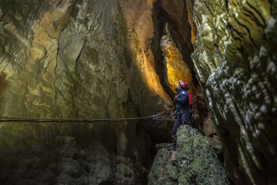 Lisbon: Setubal Arrábida Natural Park Adventure Circuit - Abseiling and via ferrata: the skills you’ll actually take home