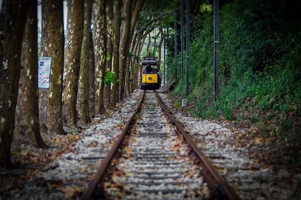 Lisbon, Sintra and Cascais: Full-Day Private Tour - Guides and pacing: what makes the day land well