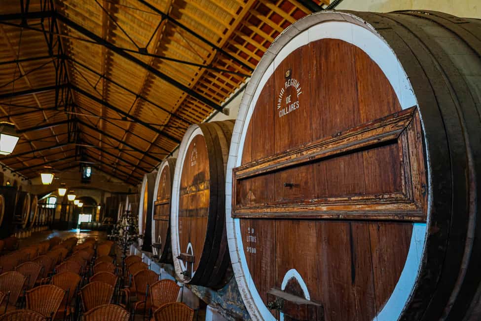 Lisbon: Sintra, Pena Palace & Wine Tasting Small-Group Tour - Small-Group Comfort: Why the Guide Matters More Than You Think